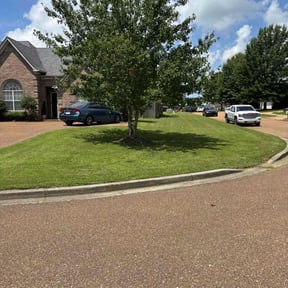 yard service by A.I.O SERVICES reviewed on August 19, 2025