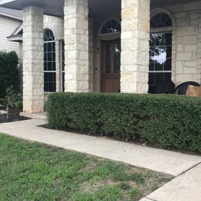 Bush Trimming by Majestic32Scapesllc reviewed on May 12, 2025