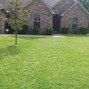 Bush Trimming by 3 Amigos Landscaping  reviewed on August 9, 2024