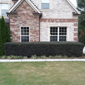 Bush Trimming by Emerson mowing reviewed on August 17, 2025