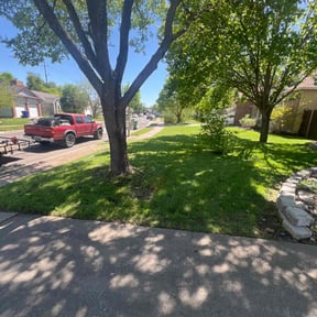 grass cutting by RTH Lawn Service &amp; Landscaping LLC reviewed on August 15, 2025