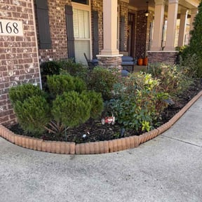 Bush Trimming by JD Lawn care and property maintenance reviewed on November 22, 2025