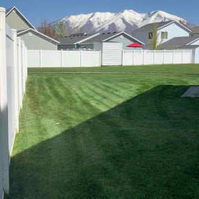 lawn care by CnA Lawn and landscape reviewed on August 18, 2025