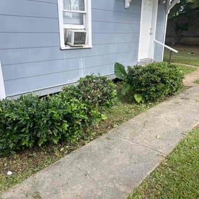 Bush Trimming by A Closer Look Residential Inspections LLC reviewed on August 16, 2025