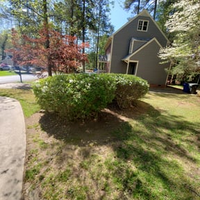 Bush Trimming by Dustys Landscaping reviewed on August 16, 2025