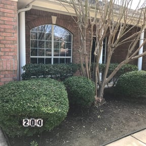 Bush Trimming by Lawn Busters LLC reviewed on August 20, 2025