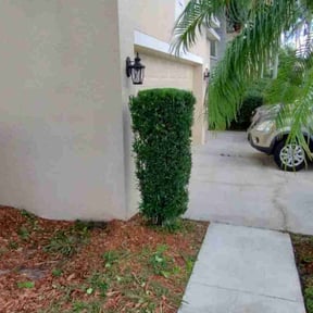 Bush Trimming by Torres Lawn Care reviewed on August 21, 2025