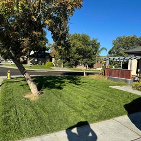 landscape maintenance by Garden Upgrade Lawn Care reviewed on August 19, 2025