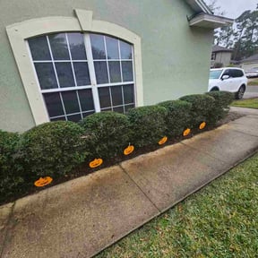 Bush Trimming by LELC, LLC reviewed on December 10, 2025