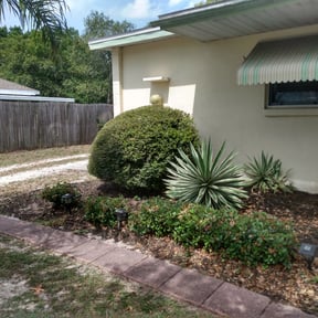 Bush Trimming by Taurus enterprise and construction LLC reviewed on August 15, 2025