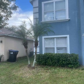 Bush Trimming by Clean Green lawn care reviewed on August 20, 2025