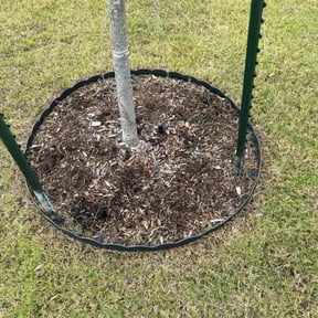 Flower Bed Weeding by House of leonidas reviewed on November 4, 2025