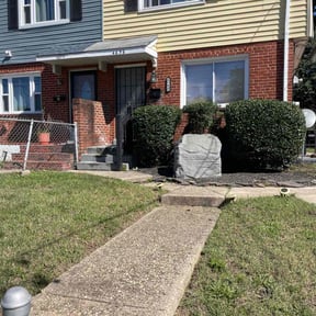 Bush Trimming by Vega &amp; Sons Landscaping reviewed on October 24, 2025