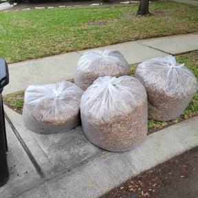 Leaf Removal by Lawnscape pros reviewed on September 28, 2025