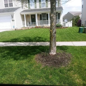 Leaf Removal by Flores Garden Landscapes reviewed on September 21, 2025