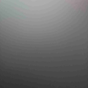 Leaf Removal by David W Services LLC reviewed on November 8, 2025