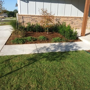 Flower Bed Weeding by Norman Boys Lawn Care reviewed on August 20, 2025