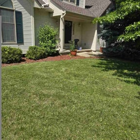 yard care by Family Lawn Care reviewed on August 20, 2025