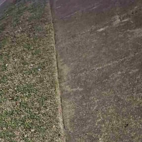 Leaf Removal by SJ Lawn Care reviewed on July 17, 2026