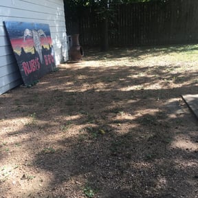 Leaf Removal by All N 1 Property Improvements reviewed on August 20, 2025