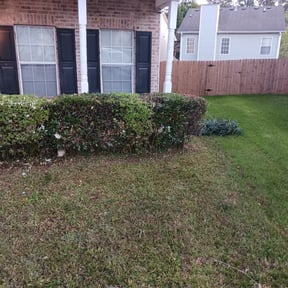 Bush Trimming by DLAWN SERVICE LLC reviewed on August 20, 2025