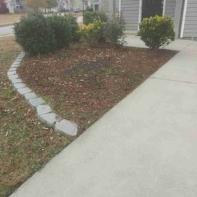 Flower Bed Weeding by Mow Buddies reviewed on November 23, 2025