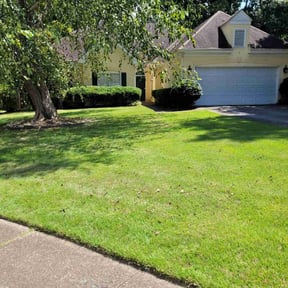 Bush Trimming by Just Lawns LLC reviewed on November 5, 2025