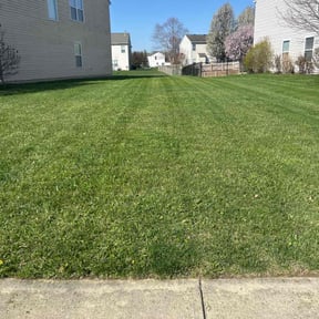 yard maintenance by BetterView Landscaping & Home Maintenance reviewed on August 15, 2025