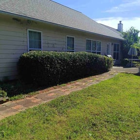 Bush Trimming by LT&#039;s lawn mowing reviewed on October 24, 2025