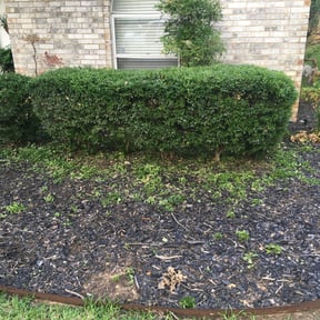 Bush Trimming by Osell Lawn Care LLC reviewed on February 3, 2026