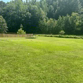gardening service by Nates Lawn Service reviewed on August 19, 2025