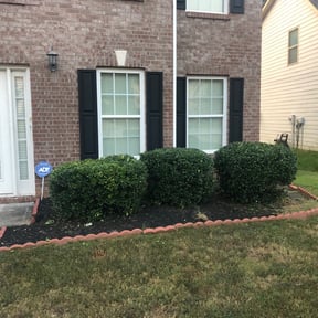 Bush Trimming by Pristine Properties LHS reviewed on August 20, 2025