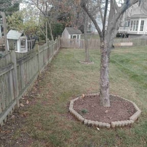 Leaf Removal by Richy reviewed on October 23, 2025