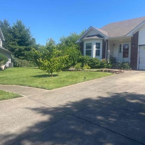landscape maintenance by Procare Lawns reviewed on August 19, 2025