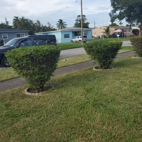 Bush Trimming by Dortch Demo and cleanup reviewed on August 19, 2025