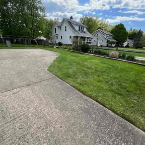 turf care by CostCutting lawncare reviewed on September 14, 2023