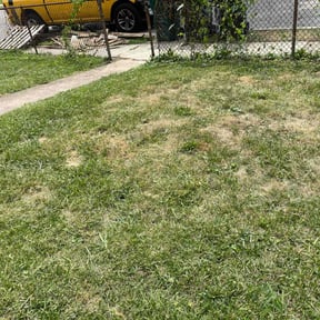 Bush Trimming by GreenCut Lawn Care reviewed on August 19, 2025