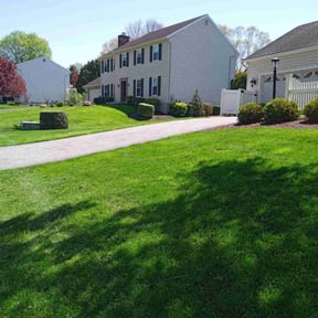 gardening service by Allen Investments reviewed on August 21, 2025