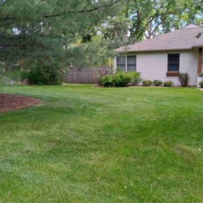 yard work by Anton Lawn Care reviewed on August 21, 2025