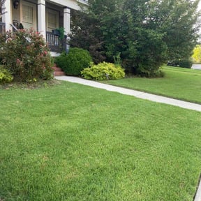 landscaping by Dads Lawn Services reviewed on August 16, 2025
