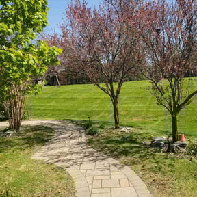 grass maintenance by Felo pride lawn service reviewed on August 19, 2025