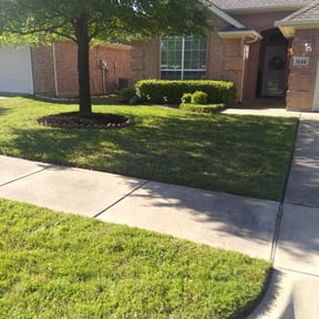 Bush Trimming by Blue Diamond Cleaning Services reviewed on August 15, 2025