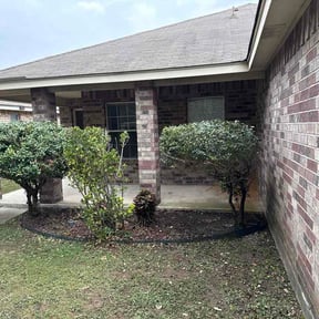 Bush Trimming by Hogman and Sons Lawncare Plus reviewed on April 9, 2026