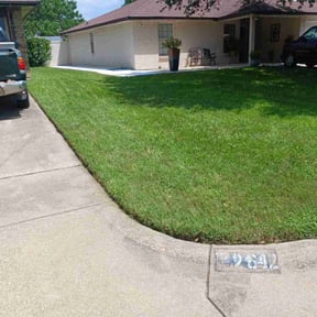 yard service by Harry's Champion Landscaping reviewed on August 15, 2025