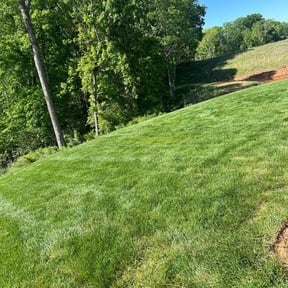 yard care by Creative Lawn Cuts & Landscaping reviewed on August 19, 2025