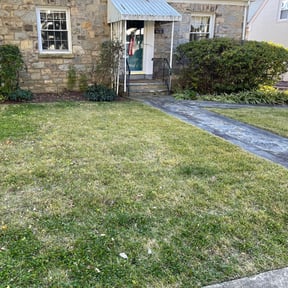 Leaf Removal by Green Dream Lawn reviewed on September 11, 2025