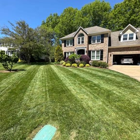 yard work by Active Do It All Lawn Care reviewed on August 20, 2025