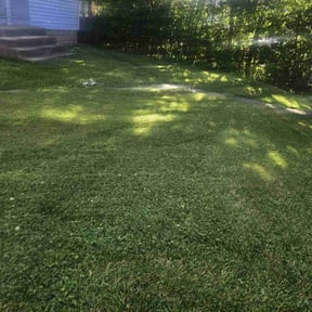 lawn care by Zad's Lawn Worx reviewed on August 12, 2024