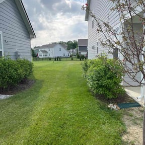 landscape maintenance by Top Notch Lawn & Landscaping, LLC reviewed on August 18, 2025