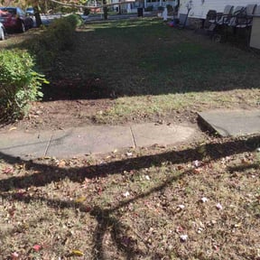 Leaf Removal by American Bey LLC reviewed on November 9, 2025